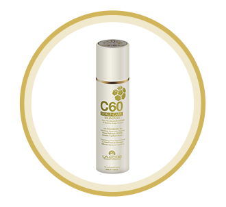 DẦU GỘI TRỊ GÀU, NGỨA – DA ĐẦU NHẠY CẢM (SCALP CARE SHAMPOO C60)